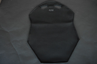 2011sp back2.jpg